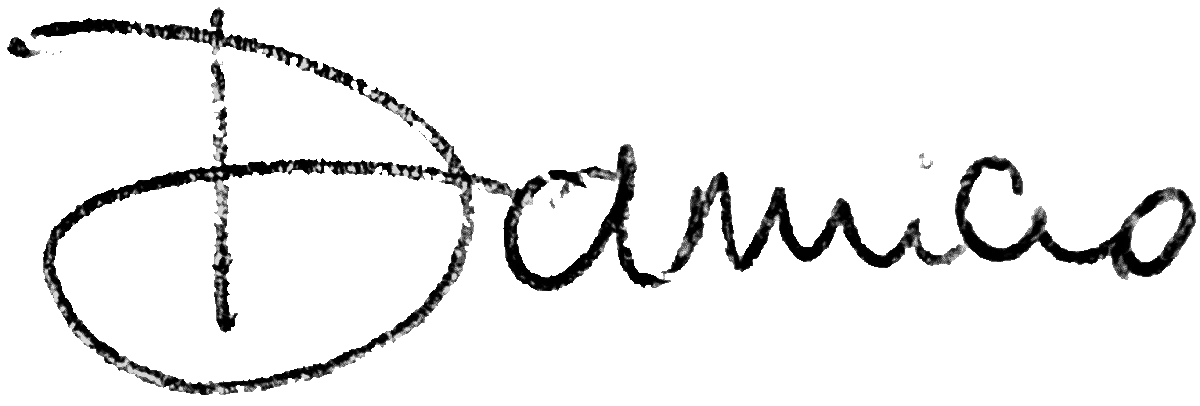 The signature of Damiano Plebani, only the name